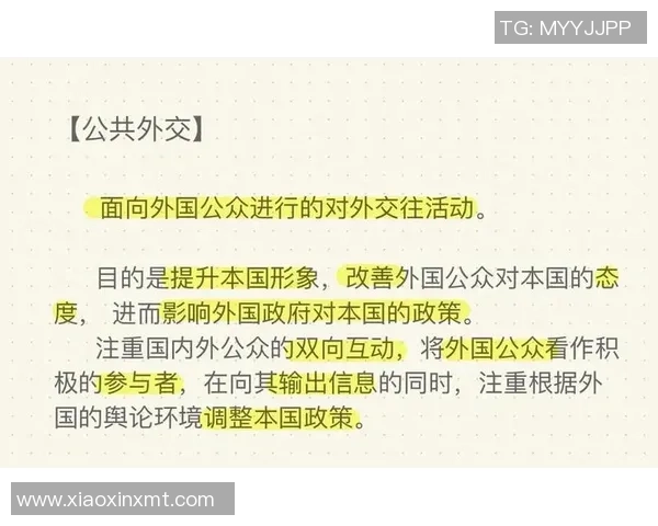 公共外交如何影响国家形象的构建与传播策略探讨