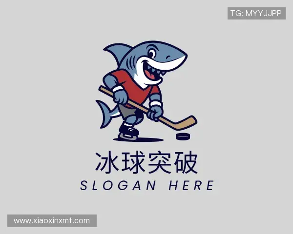 了解冰球突破